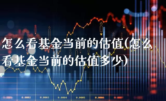 怎么看基金当前的估值(怎么看基金当前的估值多少)_https://www.shshucaipeisong.com_创业板_第1张