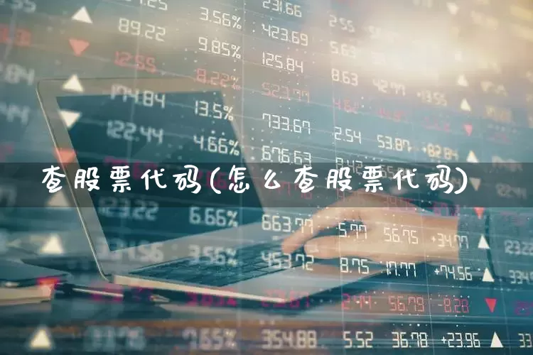 查股票代码(怎么查股票代码)_https://www.shshucaipeisong.com_深交所_第1张
