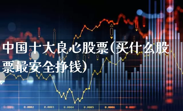 中国十大良心股票(买什么股票最安全挣钱)_https://www.shshucaipeisong.com_科创板_第1张