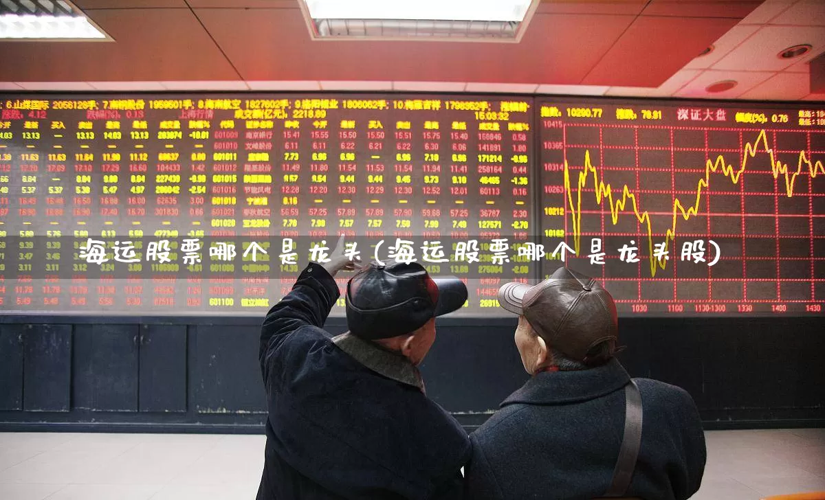 海运股票哪个是龙头(海运股票哪个是龙头股)_https://www.shshucaipeisong.com_深交所_第1张