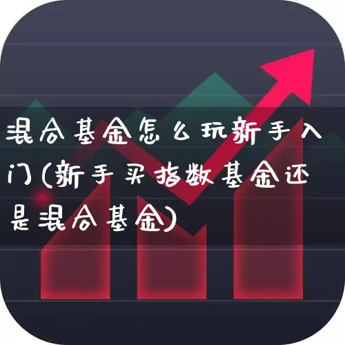 混合基金怎么玩新手入门(新手买指数基金还是混合基金)_https://www.shshucaipeisong.com_北交所_第1张