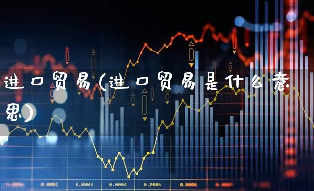 进口贸易(进口贸易是什么意思)_https://www.shshucaipeisong.com_深交所_第1张