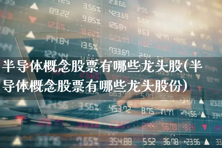 半导体概念股票有哪些龙头股(半导体概念股票有哪些龙头股份)_https://www.shshucaipeisong.com_深交所_第1张