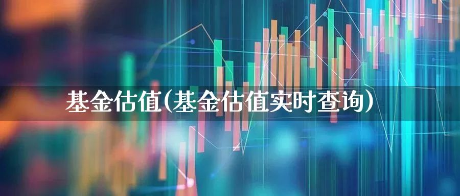 基金估值(基金估值实时查询)_https://www.shshucaipeisong.com_上交所_第1张