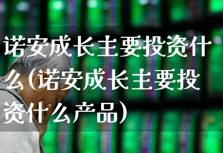 诺安成长主要投资什么(诺安成长主要投资什么产品)_https://www.shshucaipeisong.com_创业板_第1张