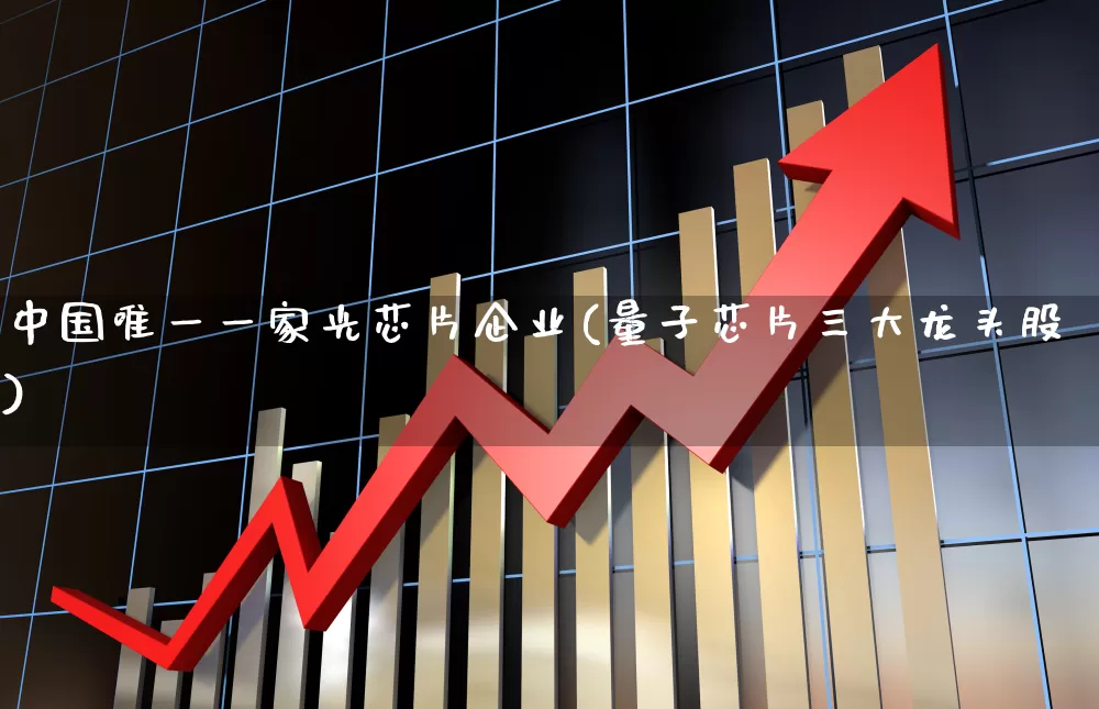 中国唯一一家光芯片企业(量子芯片三大龙头股)_https://www.shshucaipeisong.com_北交所_第1张