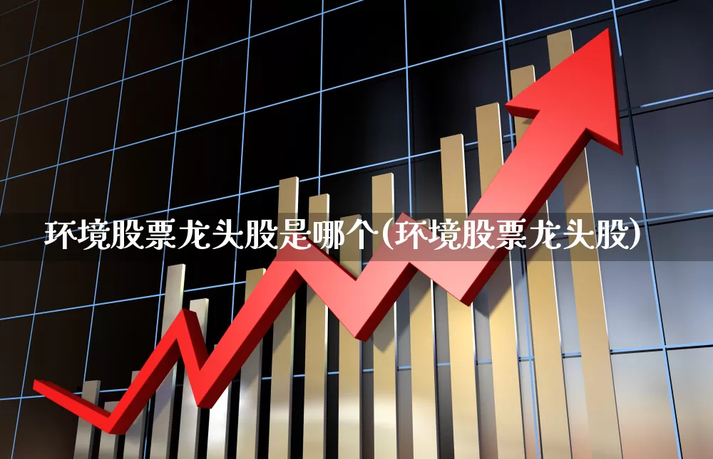 环境股票龙头股是哪个(环境股票龙头股)_https://www.shshucaipeisong.com_上交所_第1张