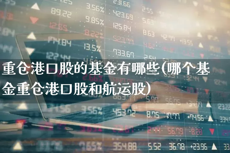 重仓港口股的基金有哪些(哪个基金重仓港口股和航运股)_https://www.shshucaipeisong.com_创业板_第1张