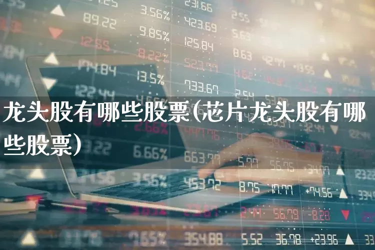 龙头股有哪些股票(芯片龙头股有哪些股票)_https://www.shshucaipeisong.com_深交所_第1张