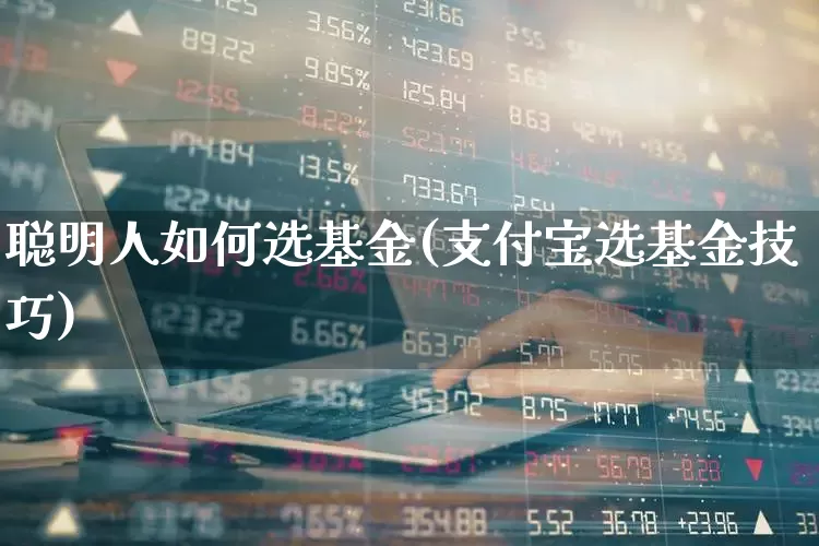 聪明人如何选基金(支付宝选基金技巧)_https://www.shshucaipeisong.com_北交所_第1张