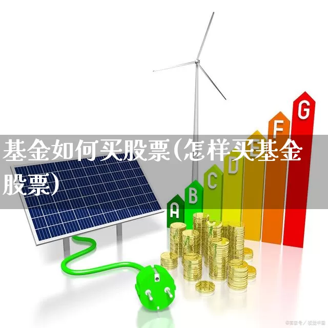 基金如何买股票(怎样买基金股票)_https://www.shshucaipeisong.com_上交所_第1张