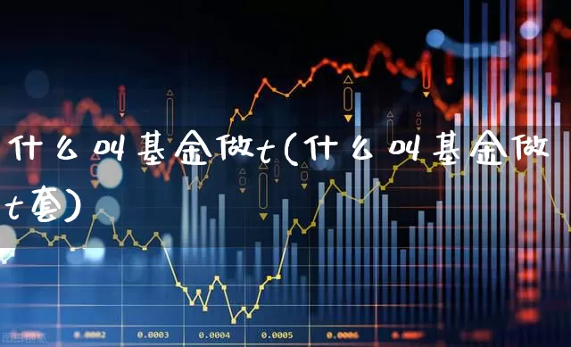 什么叫基金做t(什么叫基金做t套)_https://www.shshucaipeisong.com_科创板_第1张