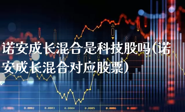 诺安成长混合是科技股吗(诺安成长混合对应股票)_https://www.shshucaipeisong.com_创业板_第1张