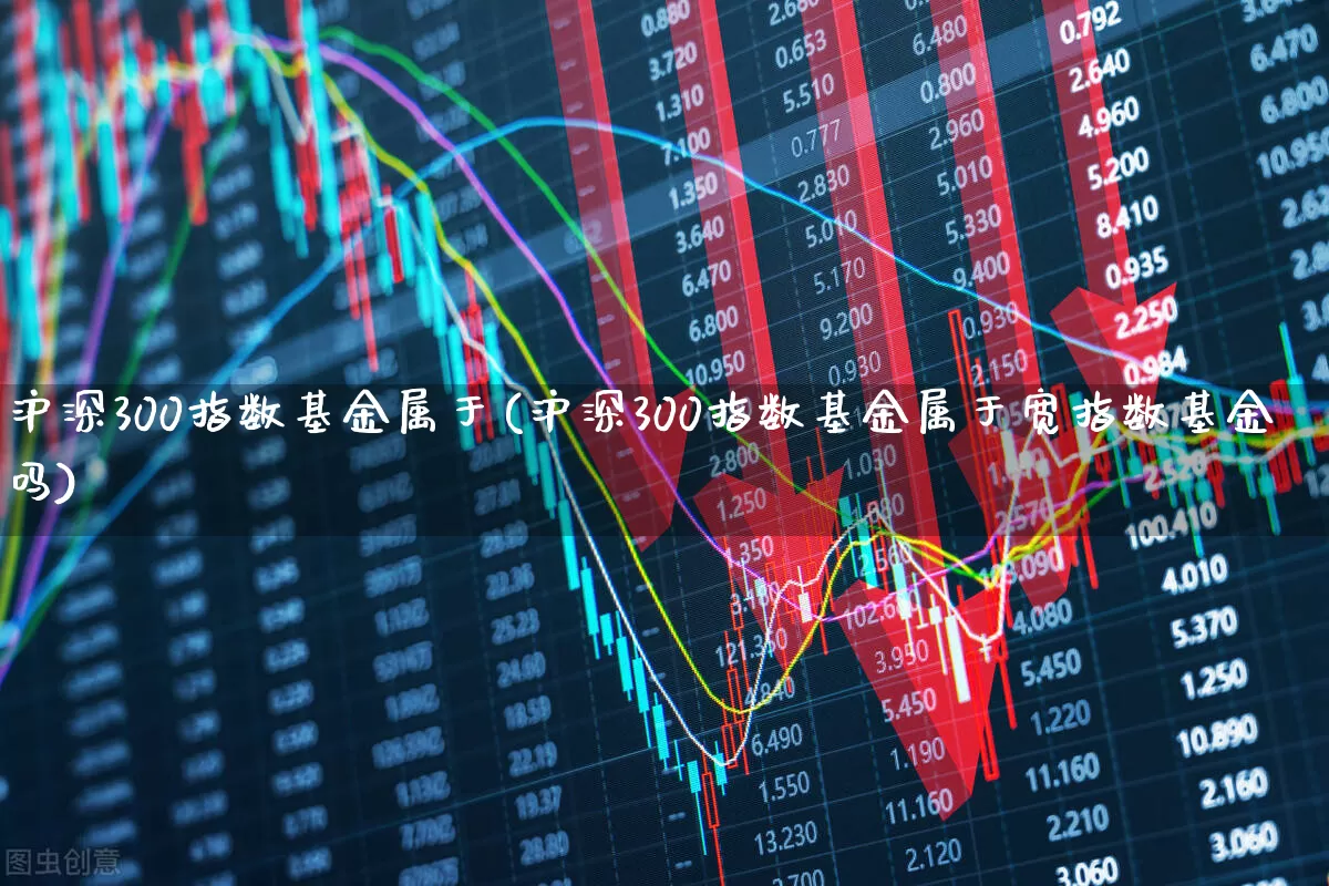沪深300指数基金属于(沪深300指数基金属于宽指数基金吗)_https://www.shshucaipeisong.com_深交所_第1张