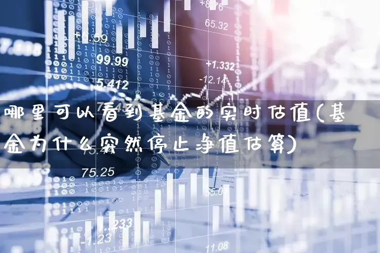 哪里可以看到基金的实时估值(基金为什么突然停止净值估算)_https://www.shshucaipeisong.com_科创板_第1张