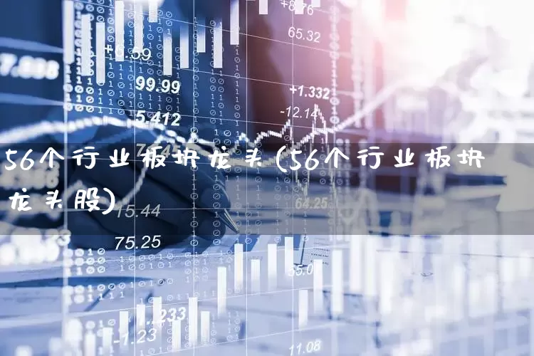 56个行业板块龙头(56个行业板块龙头股)_https://www.shshucaipeisong.com_上交所_第1张