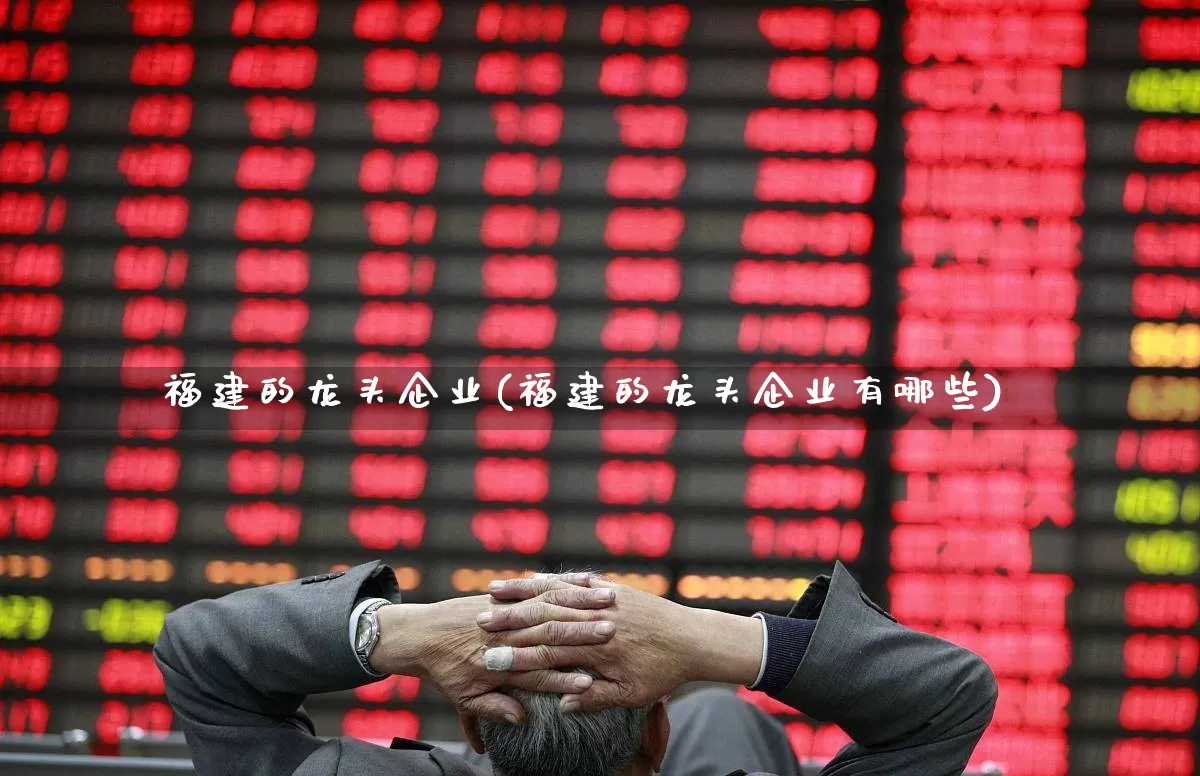 福建的龙头企业(福建的龙头企业有哪些)_https://www.shshucaipeisong.com_北交所_第1张