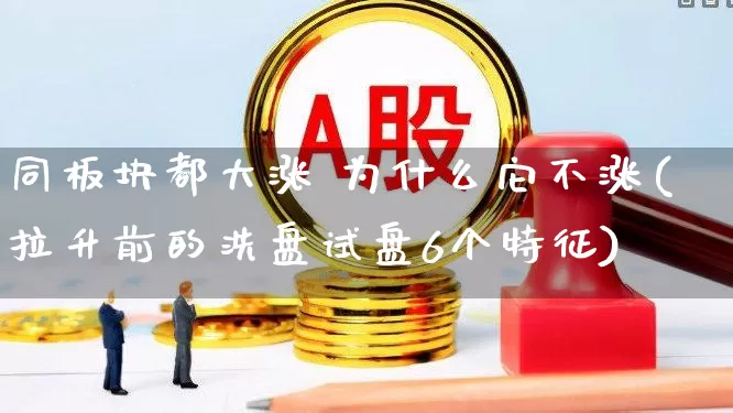 同板块都大涨 为什么它不涨(拉升前的洗盘试盘6个特征)_https://www.shshucaipeisong.com_北交所_第1张