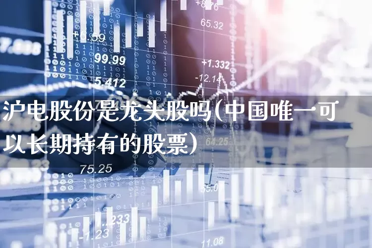 沪电股份是龙头股吗(中国唯一可以长期持有的股票)_https://www.shshucaipeisong.com_创业板_第1张