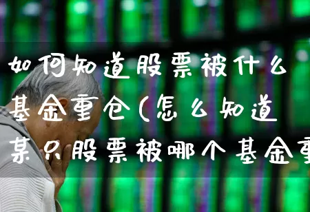 如何知道股票被什么基金重仓(怎么知道某只股票被哪个基金重仓)_https://www.shshucaipeisong.com_深交所_第1张