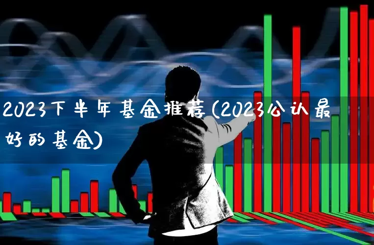 2023下半年基金推荐(2023公认最好的基金)_https://www.shshucaipeisong.com_上交所_第1张