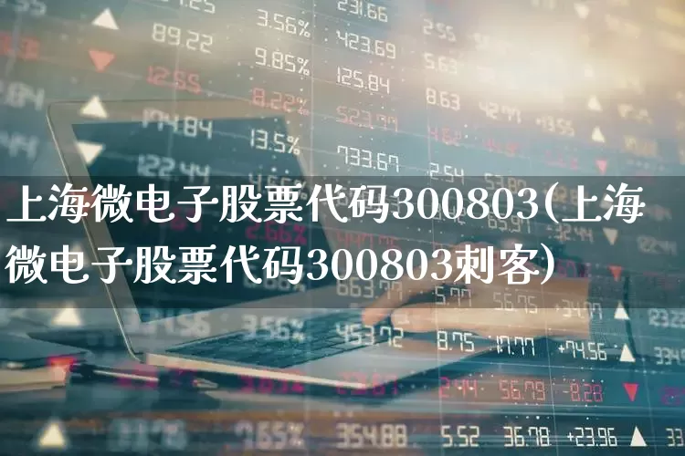 上海微电子股票代码300803(上海微电子股票代码300803刺客)_https://www.shshucaipeisong.com_北交所_第1张