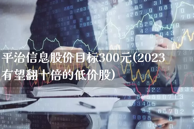 平治信息股价目标300元(2023有望翻十倍的低价股)_https://www.shshucaipeisong.com_北交所_第1张