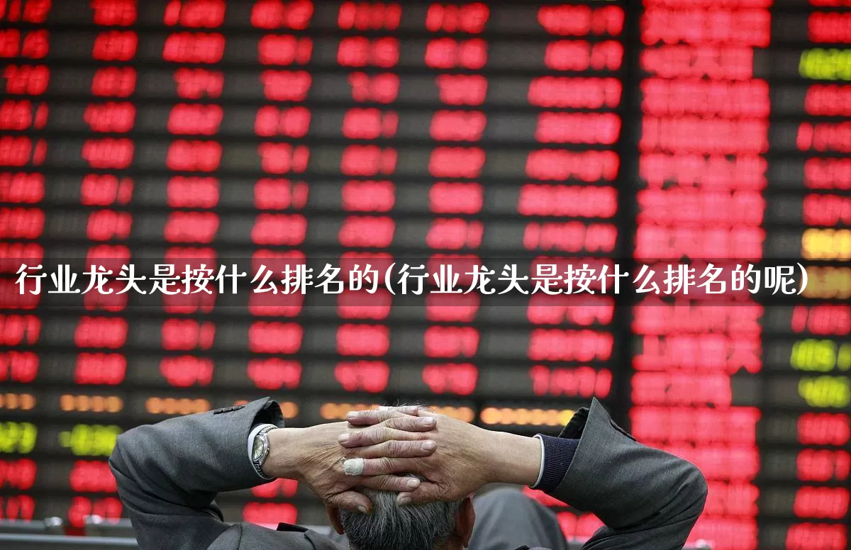行业龙头是按什么排名的(行业龙头是按什么排名的呢)_https://www.shshucaipeisong.com_创业板_第1张