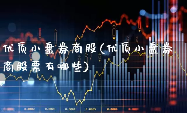优质小盘券商股(优质小盘券商股票有哪些)_https://www.shshucaipeisong.com_深交所_第1张