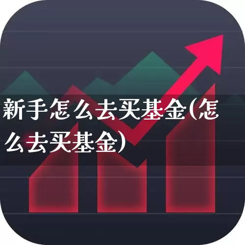 新手怎么去买基金(怎么去买基金)_https://www.shshucaipeisong.com_上交所_第1张