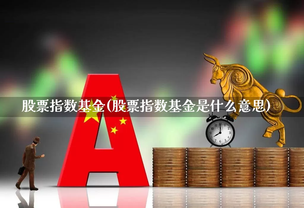 股票指数基金(股票指数基金是什么意思)_https://www.shshucaipeisong.com_创业板_第1张