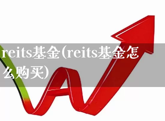 reits基金(reits基金怎么购买)_https://www.shshucaipeisong.com_创业板_第1张