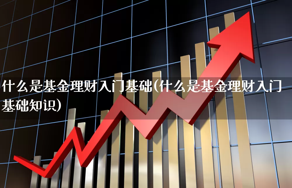什么是基金理财入门基础(什么是基金理财入门基础知识)_https://www.shshucaipeisong.com_深交所_第1张