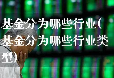 基金分为哪些行业(基金分为哪些行业类型)_https://www.shshucaipeisong.com_上交所_第1张