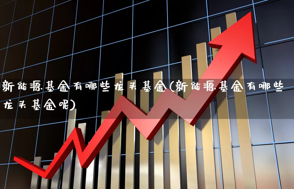 新能源基金有哪些龙头基金(新能源基金有哪些龙头基金呢)_https://www.shshucaipeisong.com_深交所_第1张