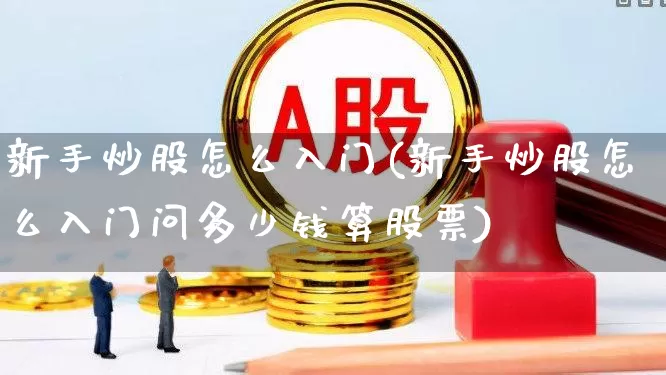 新手炒股怎么入门(新手炒股怎么入门问多少钱算股票)_https://www.shshucaipeisong.com_深交所_第1张
