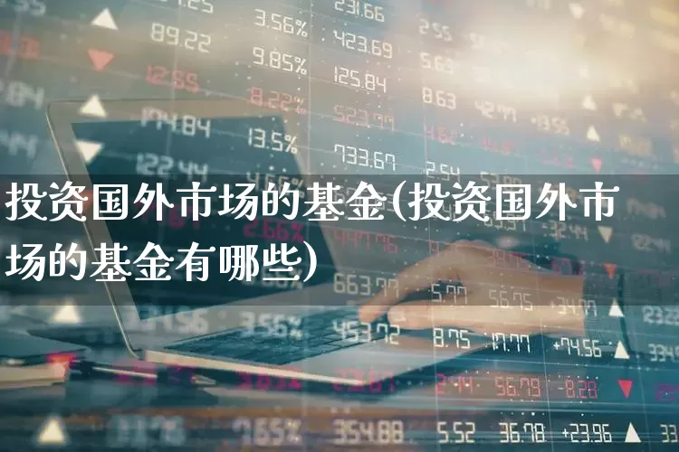 投资国外市场的基金(投资国外市场的基金有哪些)_https://www.shshucaipeisong.com_北交所_第1张