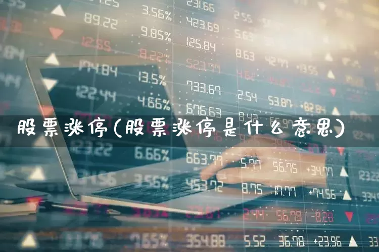 股票涨停(股票涨停是什么意思)_https://www.shshucaipeisong.com_上交所_第1张