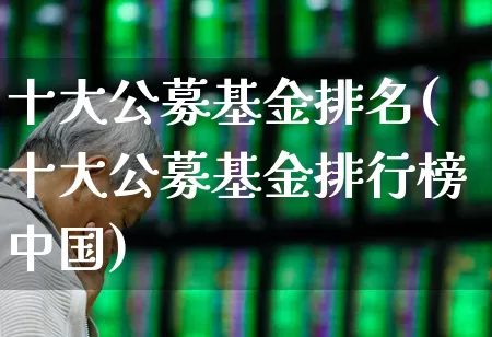 十大公募基金排名(十大公募基金排行榜中国)_https://www.shshucaipeisong.com_北交所_第1张