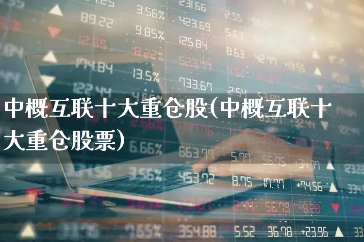中概互联十大重仓股(中概互联十大重仓股票)_https://www.shshucaipeisong.com_上交所_第1张
