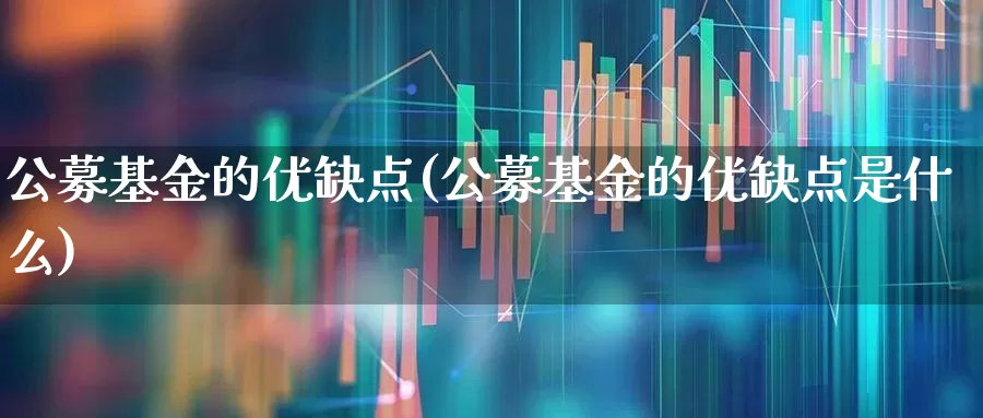 公募基金的优缺点(公募基金的优缺点是什么)_https://www.shshucaipeisong.com_上交所_第1张