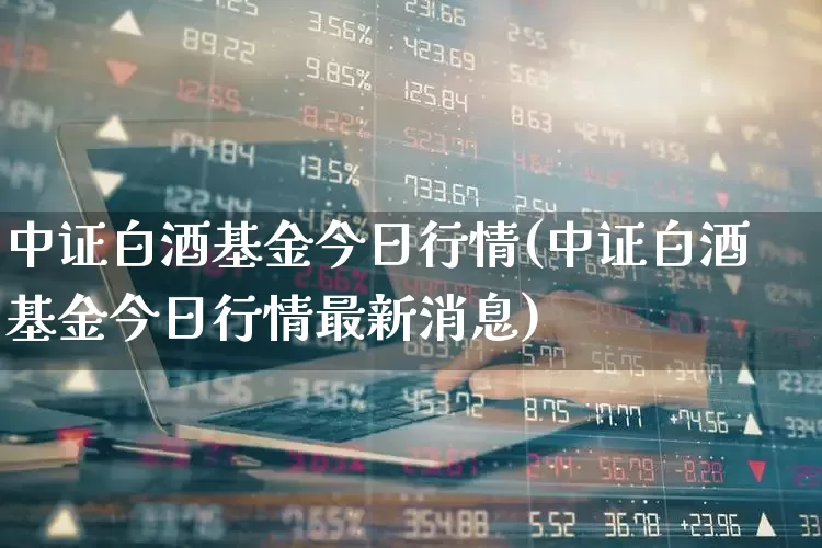 中证白酒基金今日行情(中证白酒基金今日行情最新消息)_https://www.shshucaipeisong.com_科创板_第1张