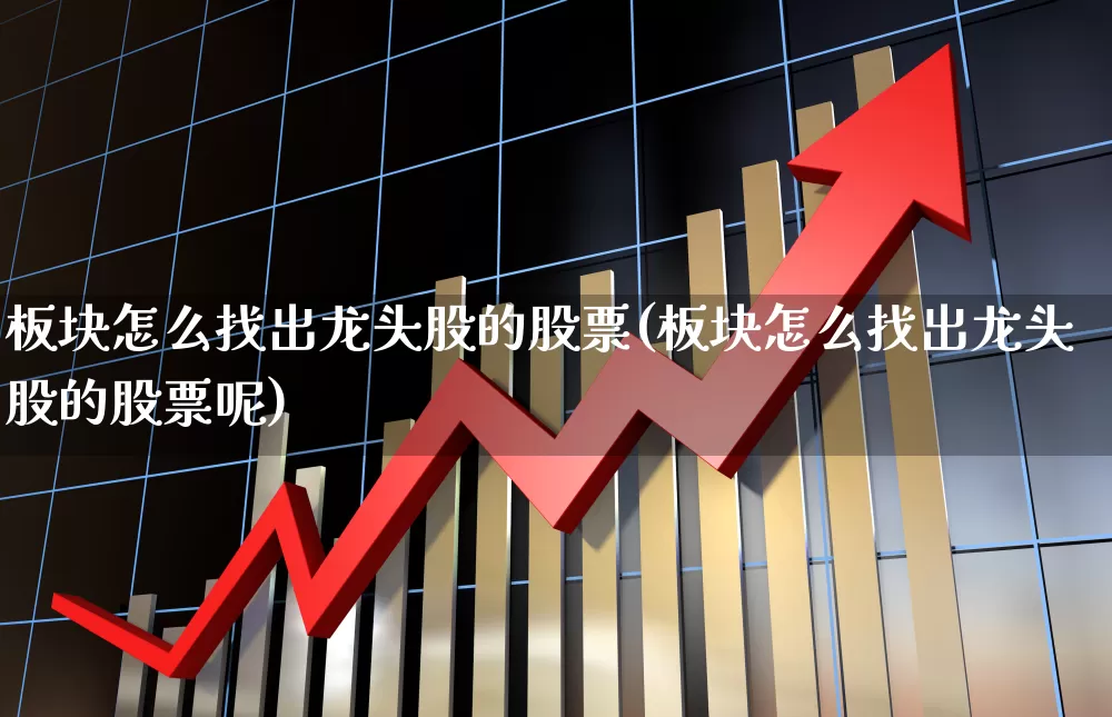 板块怎么找出龙头股的股票(板块怎么找出龙头股的股票呢)_https://www.shshucaipeisong.com_深交所_第1张