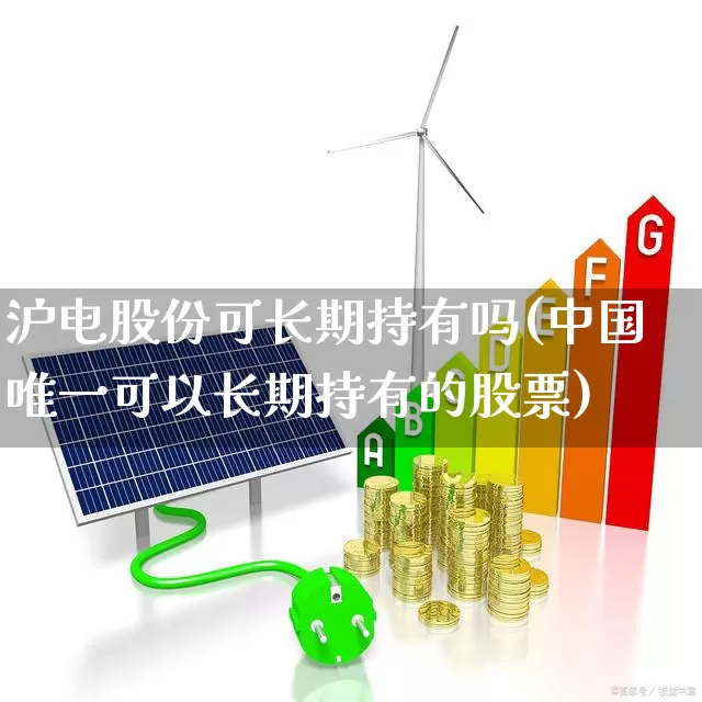 沪电股份可长期持有吗(中国唯一可以长期持有的股票)_https://www.shshucaipeisong.com_深交所_第1张