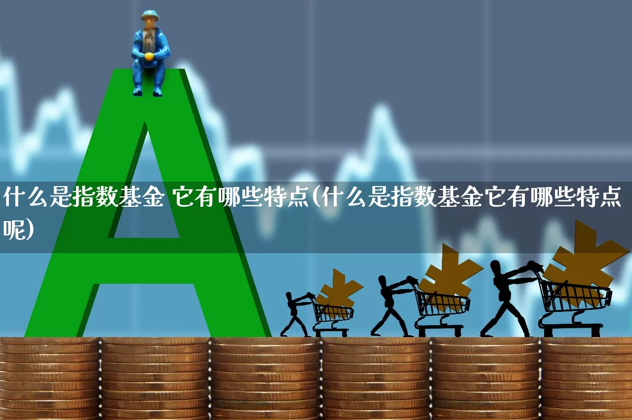 什么是指数基金 它有哪些特点(什么是指数基金它有哪些特点呢)_https://www.shshucaipeisong.com_创业板_第1张