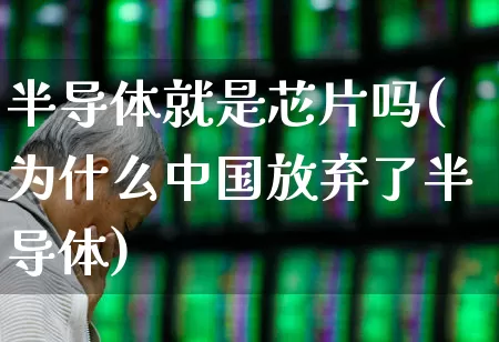 半导体就是芯片吗(为什么中国放弃了半导体)_https://www.shshucaipeisong.com_上交所_第1张