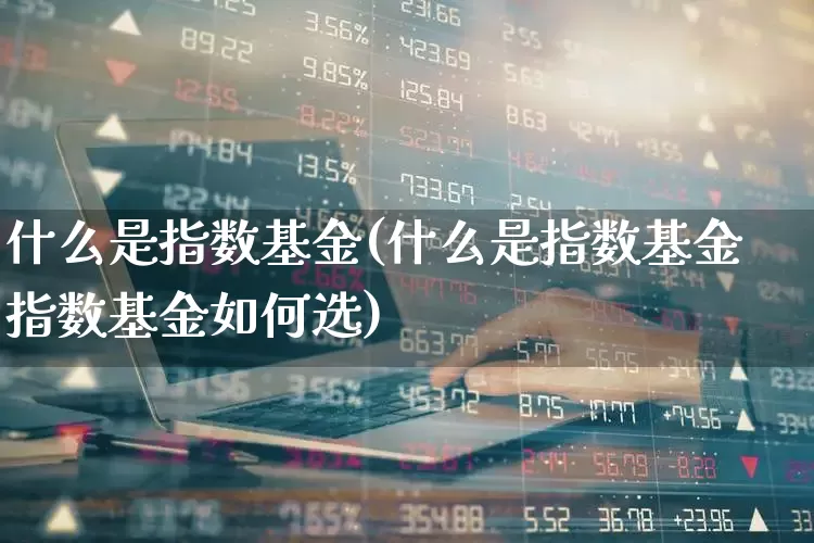 什么是指数基金(什么是指数基金指数基金如何选)_https://www.shshucaipeisong.com_北交所_第1张