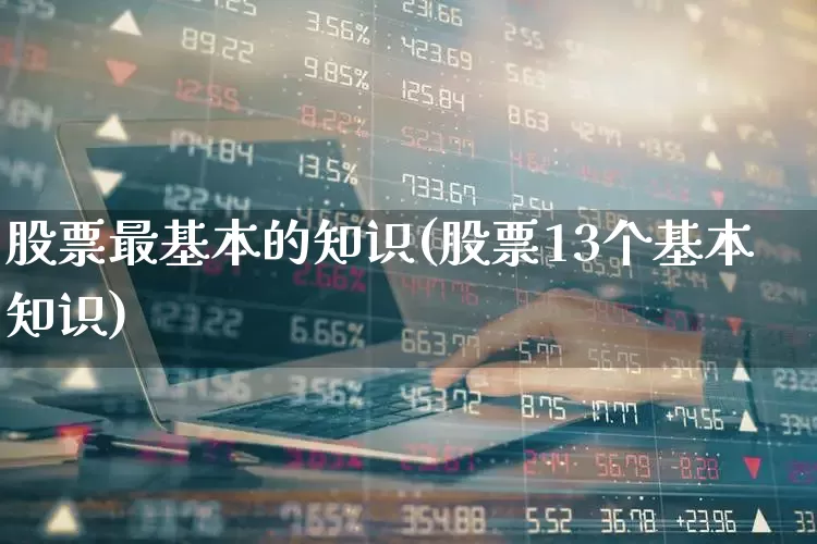 股票最基本的知识(股票13个基本知识)_https://www.shshucaipeisong.com_科创板_第1张
