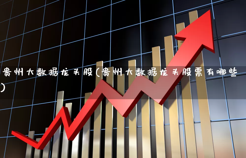 贵州大数据龙头股(贵州大数据龙头股票有哪些)_https://www.shshucaipeisong.com_科创板_第1张