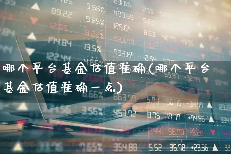 哪个平台基金估值准确(哪个平台基金估值准确一点)_https://www.shshucaipeisong.com_深交所_第1张